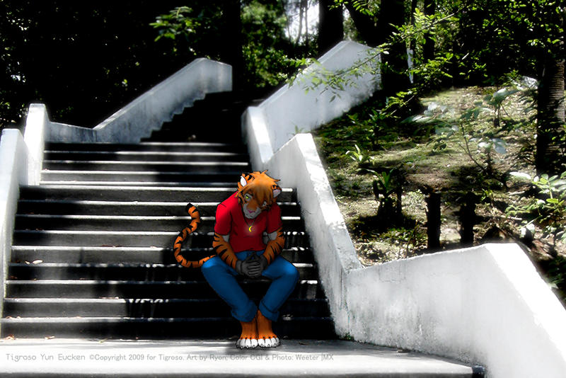 Thoughtful Yun Stairs version