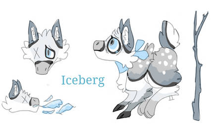 Iceberg