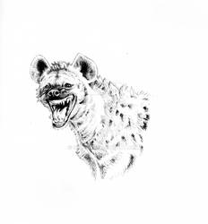 Laughing Hyena