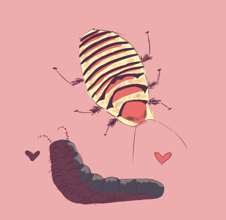 shell puppies by roachboyfriend on DeviantArt