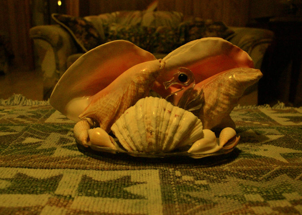 Creepy Shell by DrPlethora on DeviantArt