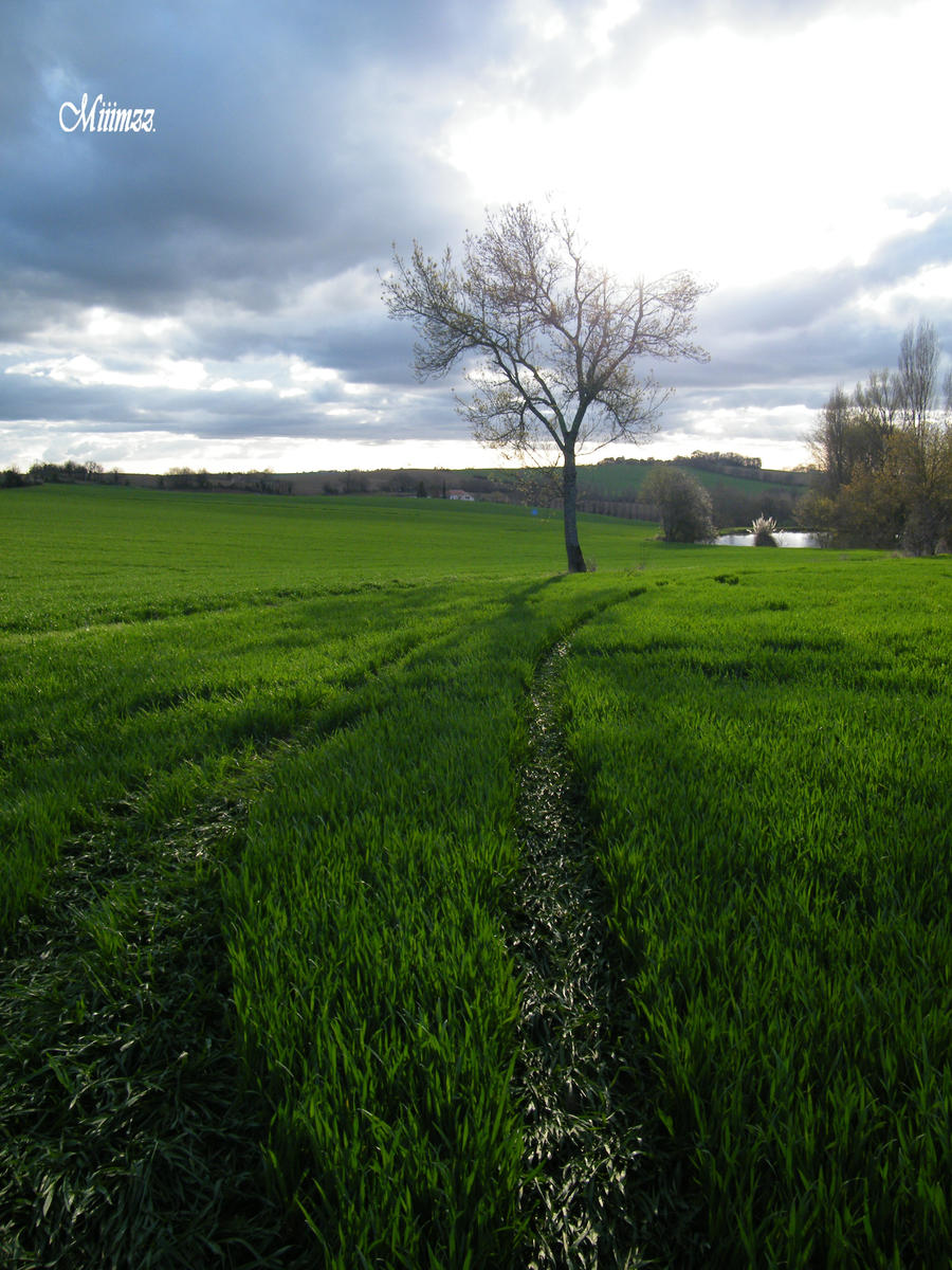 Le chemin sans retour