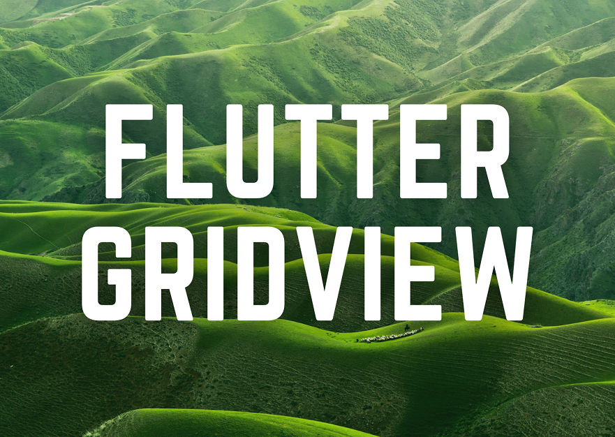 GridView Flutter With Example by codingwithdhrumil on DeviantArt