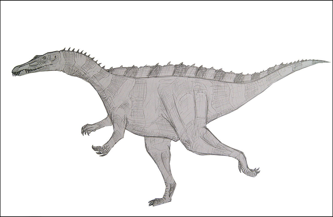 Suchomimus tenerensis