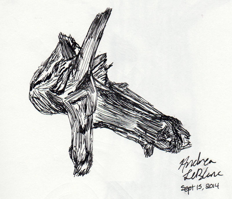 Life Drawing Object Ink Life Drawing - Pen and Ink Exercise by Jaylastar on DeviantArt