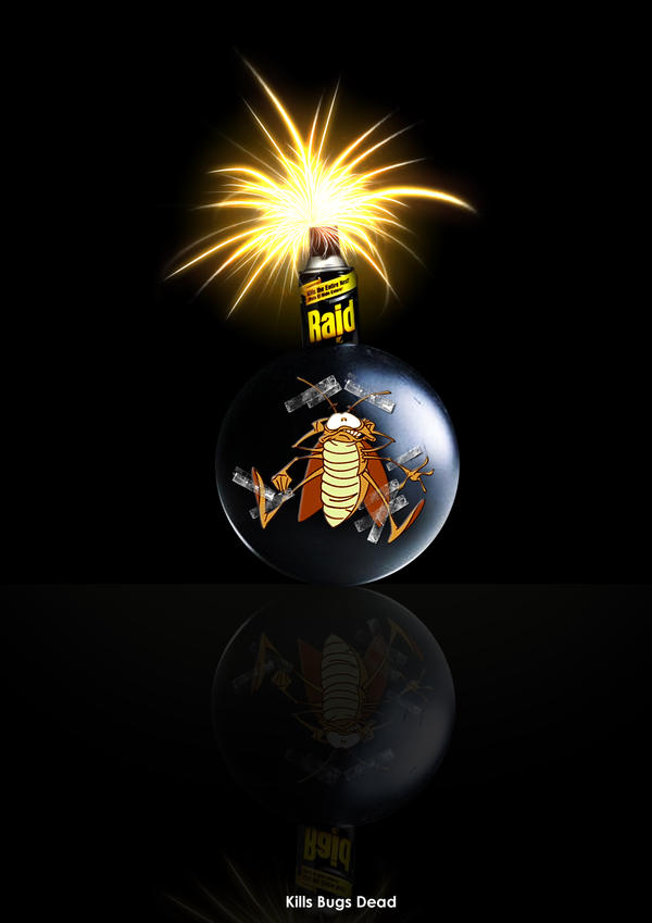 Raid Insect Killer by ellebana on DeviantArt