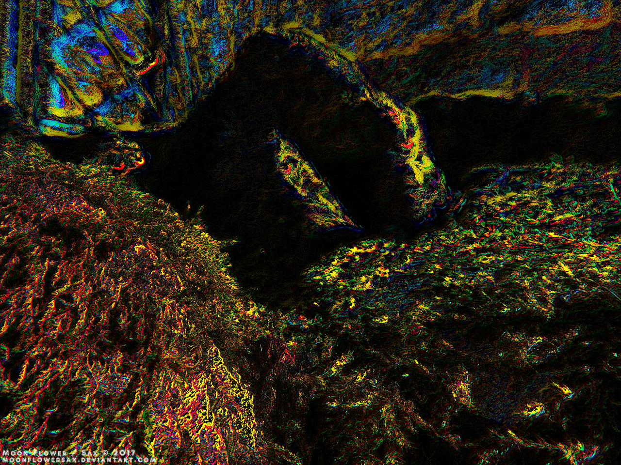 Garden1 - Psychedelic Moss On The Rocks