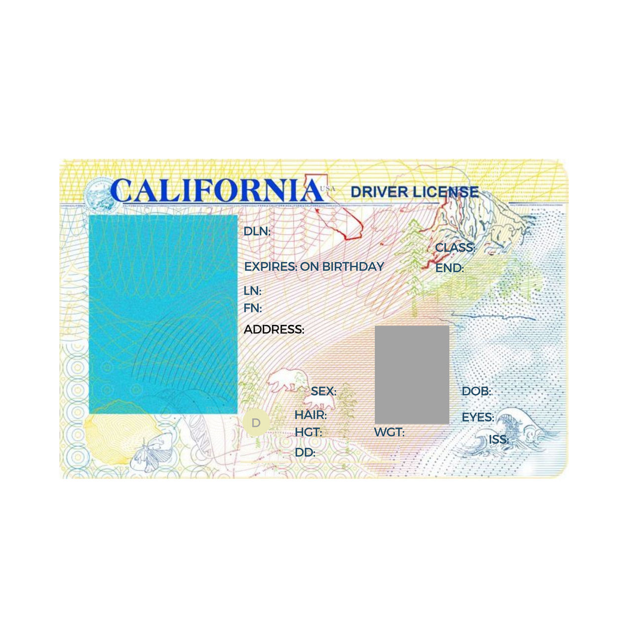 Temporary California Id Template
