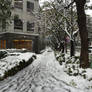 Snow in Japan 2