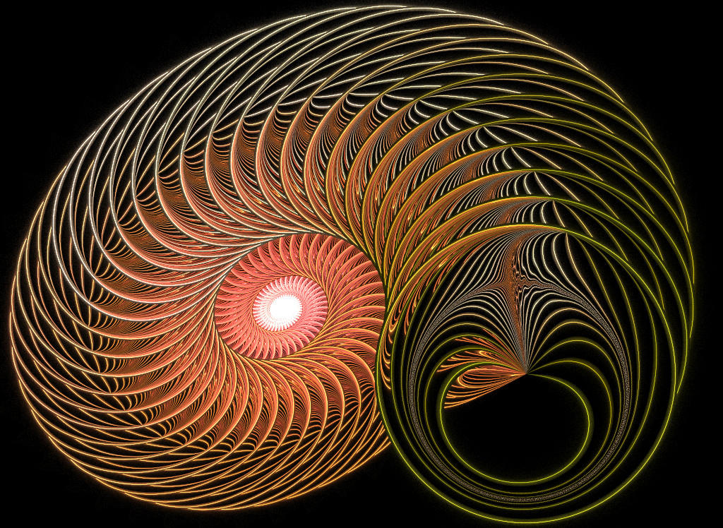 Whirlpool Shell She sells sea shells by purple-whirlpool on DeviantArt