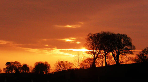 Sunrise in Kerry Vale