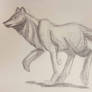 Wolf Doodle