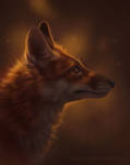.:Fox portrait:.