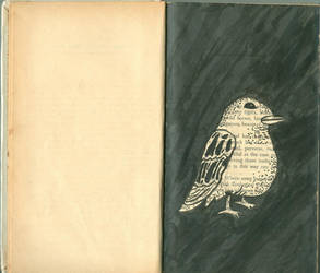 book bird