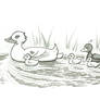 The Ugly Duckling