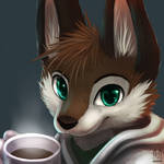 KAPE by thanshuhai