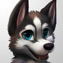 [Icon-CM] Kwaku-Husky