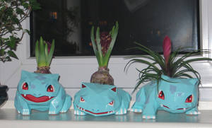 pokemon planter