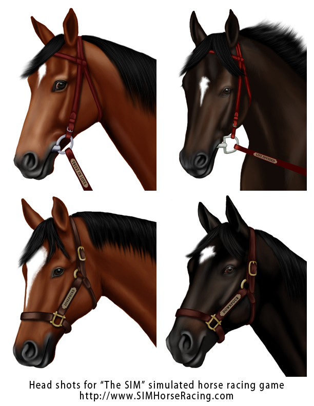 Head shots of horses -Group 36