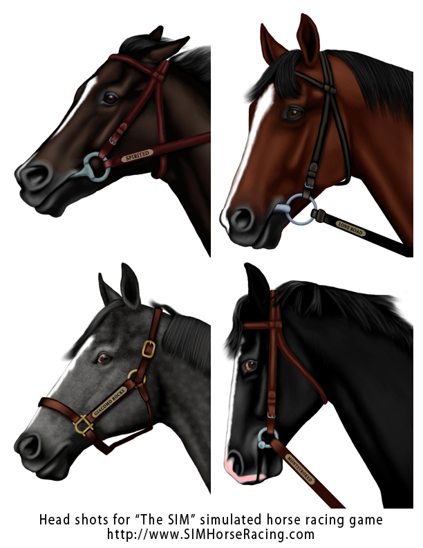 Head shots of horses -Group 37