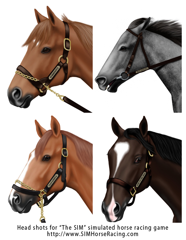 Head shots of horses -Group 74