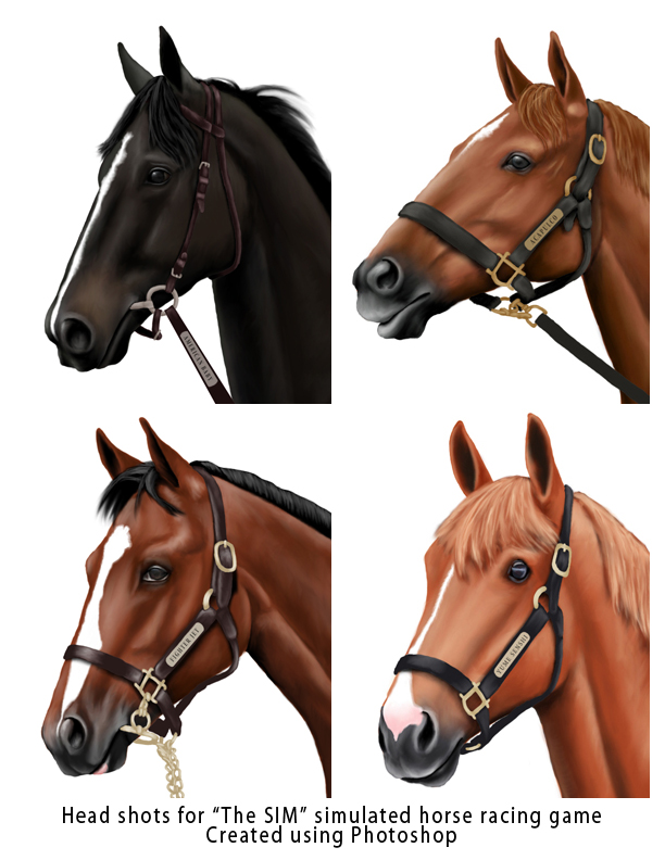 Head shots of horses -Group 16