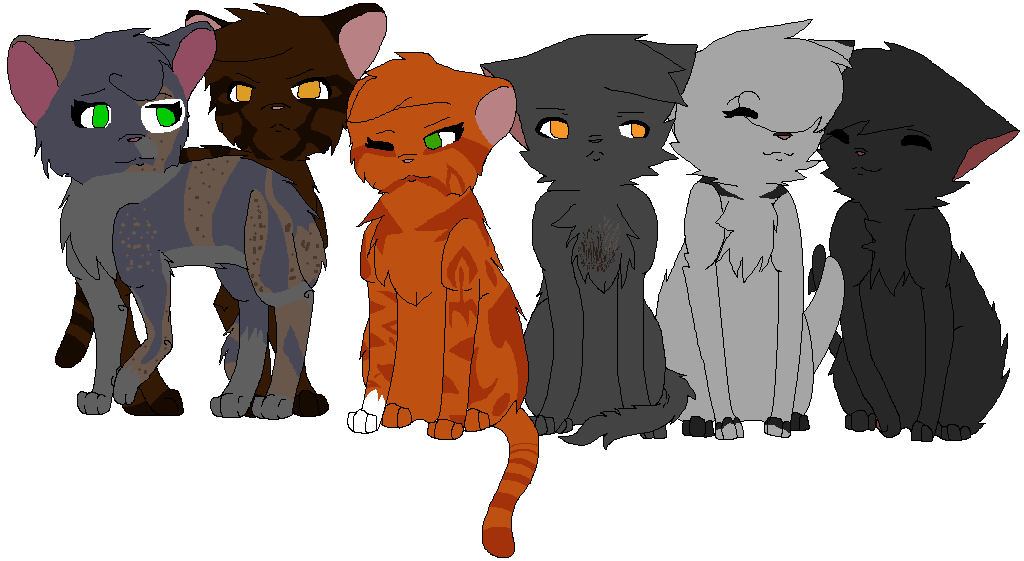 Warrior Cats Midnight Redo by BLlNK on DeviantArt