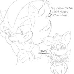 Shadow And Chip