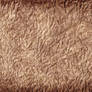 Texture - Crumpled Paper #2 (Brown)