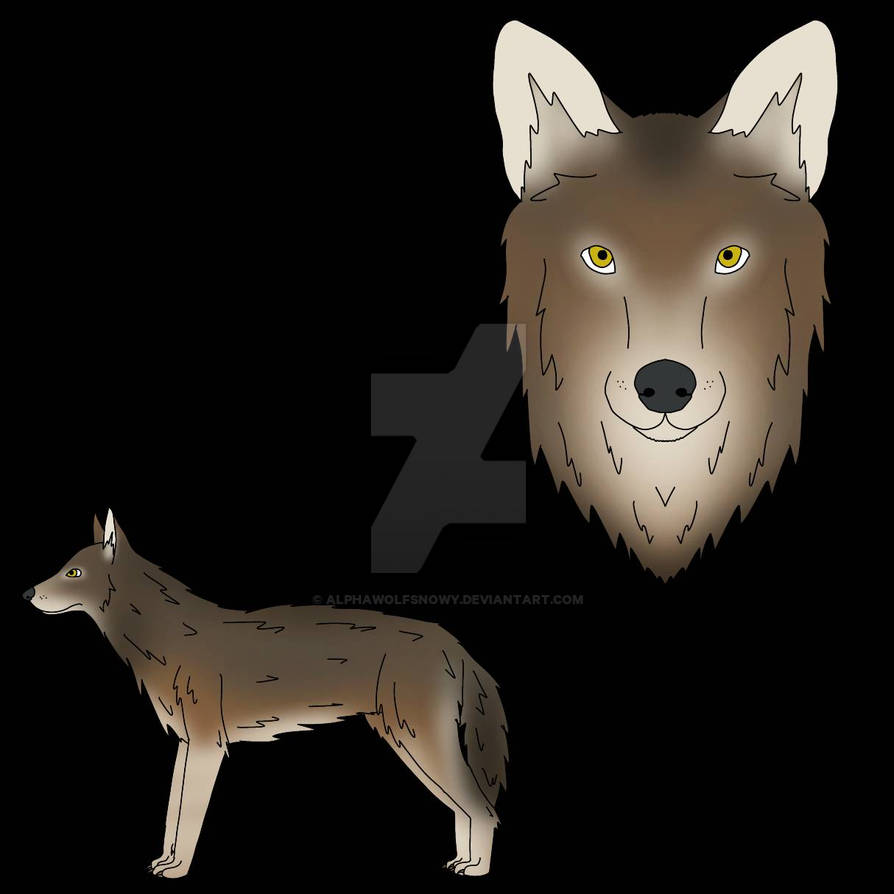 Rufus the Red Wolf by Alphawolfsnowy on DeviantArt