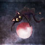 .: Ravenpaw the Ditsy Cat :.