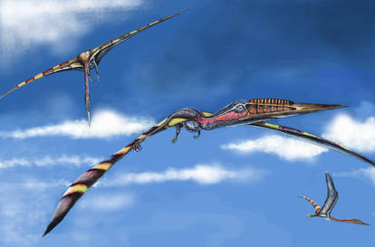 Hatzegopteryx thambema ver 1