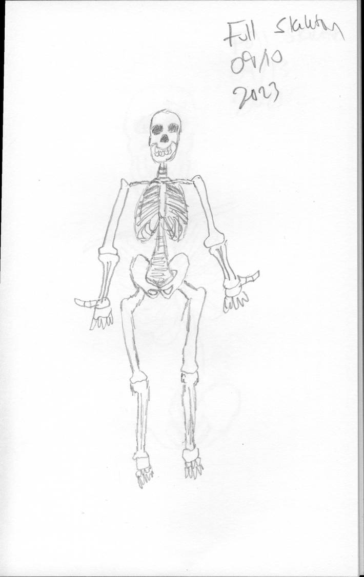 Full Skeleton 08 by JohnJenkins2315 on DeviantArt