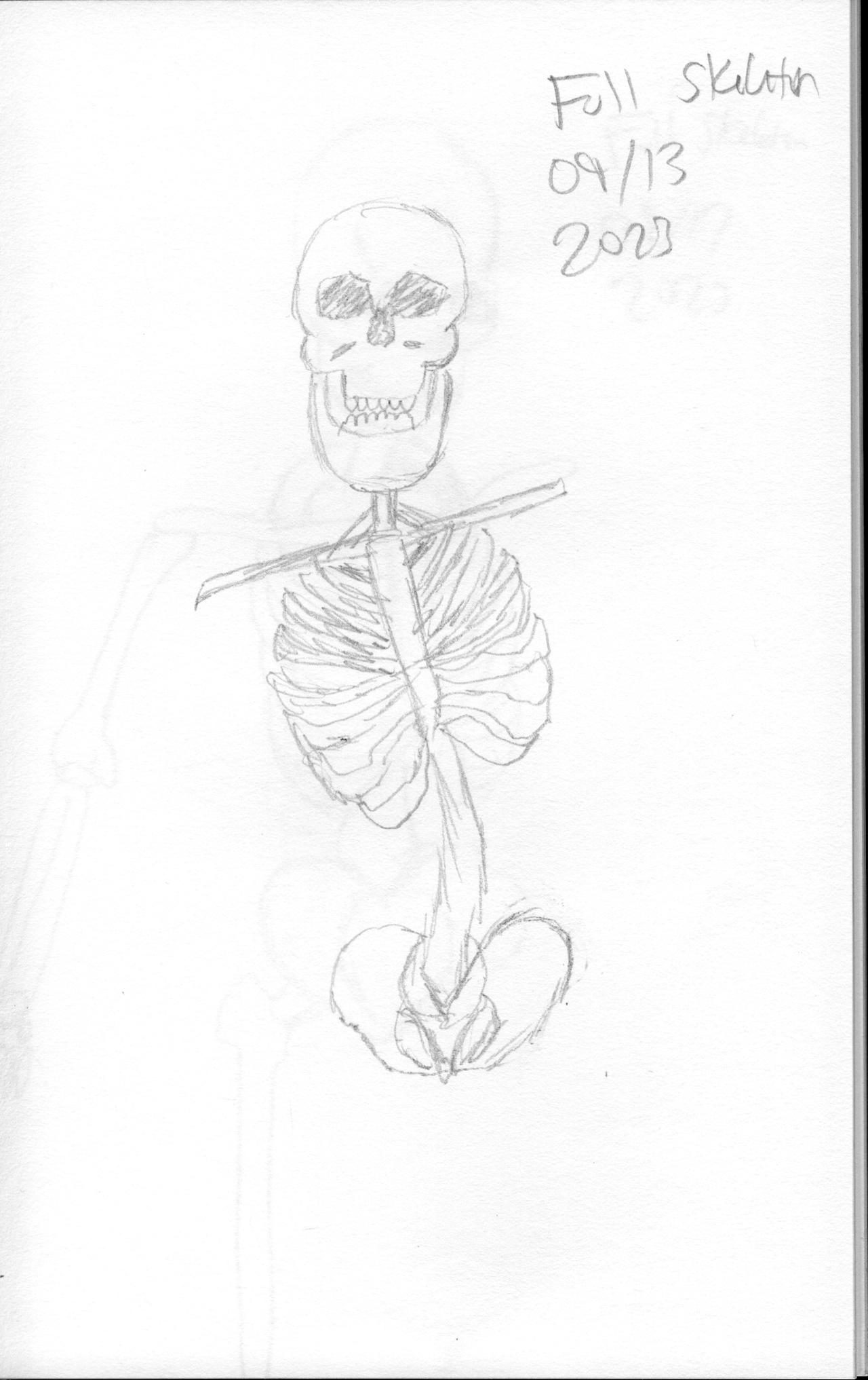 Full Skeleton 09 by JohnJenkins2315 on DeviantArt