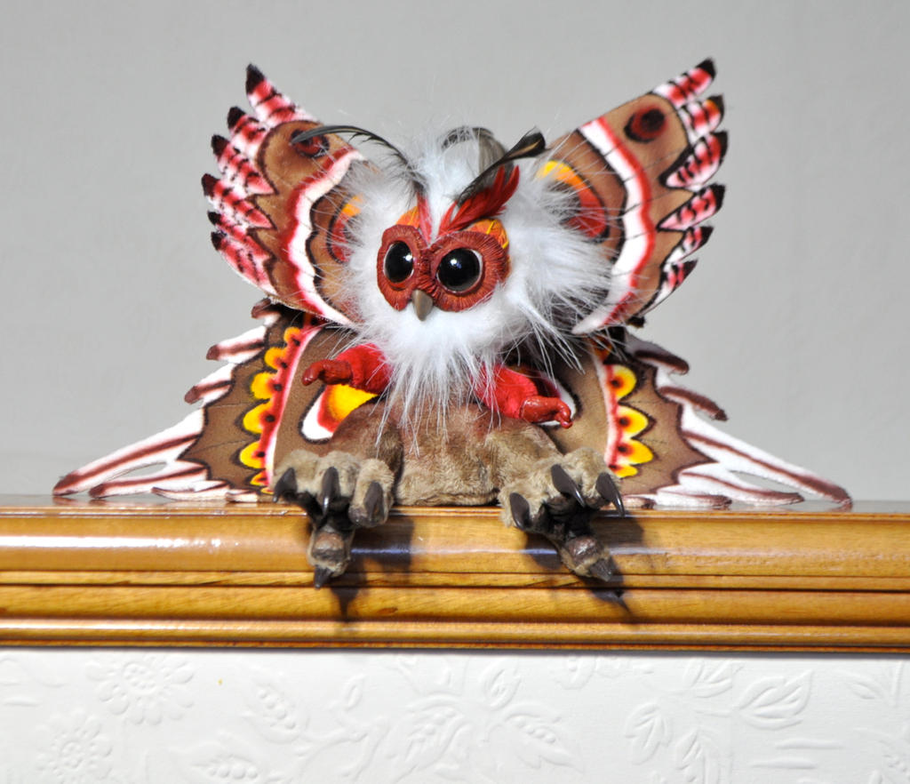 The Little Owlmoth