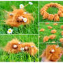 Heilan Coos!