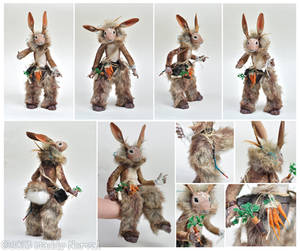 Rabbit Shaman