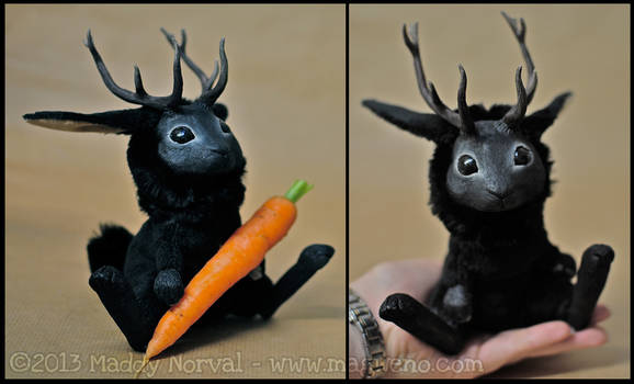 Black Jackalope