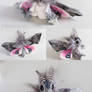 Eyed Hawk-Moth - Smerinthus Ocellatus