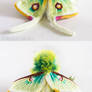 Luna Moth