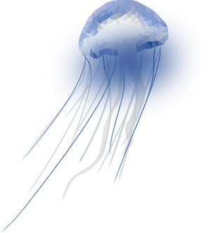 Jellyfish png