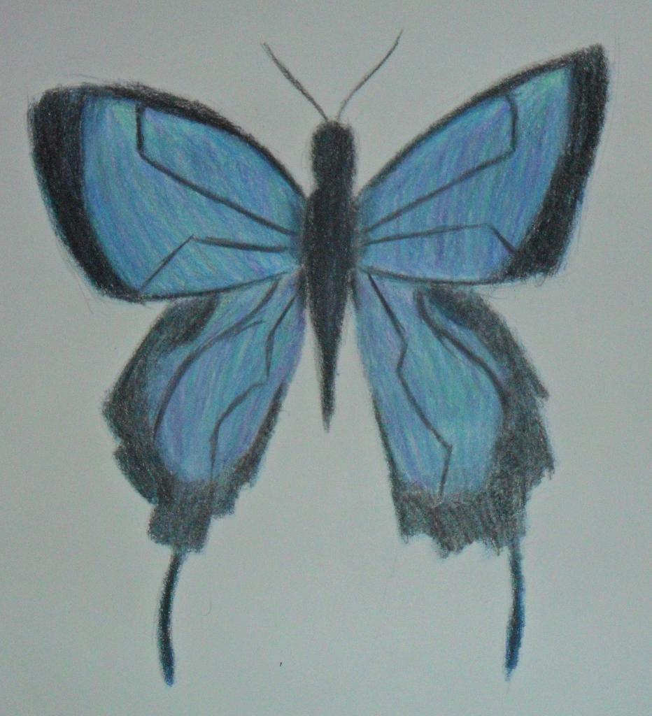 Prismacolor Butterfly