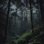 Dark Forest 09