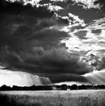 rainy day by BOsKiKroKodyL