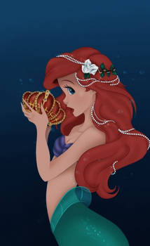 Ariel.