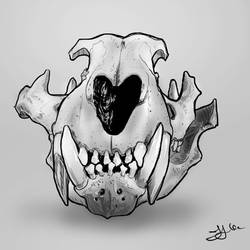 Big Cat Skull