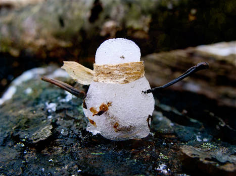 Mini Snowman