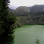green paradise