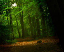Light amongst the green