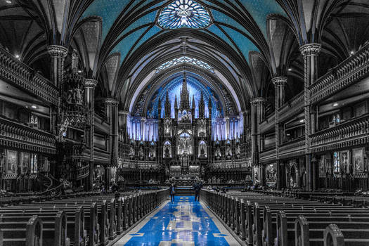 Montreal Blue